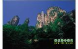網(wǎng)絡(luò)熱門純玩游：張家界、天子山、袁家界、楊家界 自助三日游