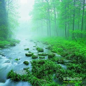 【純玩散拼尊享系列3】張家界、天子山、袁家界、黃龍洞、鳳凰三晚四日游
